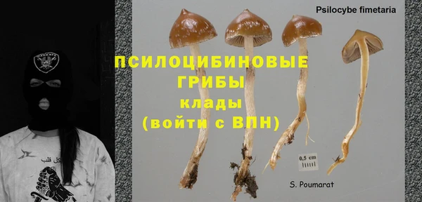 apvp Новозыбков