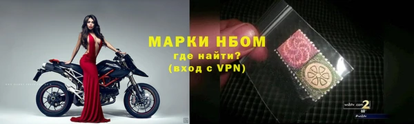 амф Новодвинск