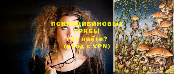 амф Новодвинск