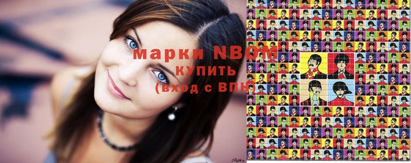 apvp Новозыбков