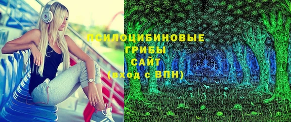 амф Новодвинск