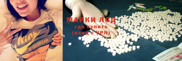 амф Новодвинск