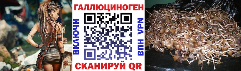 Галлюциногенные грибы MAGIC MUSHROOMS Балашиха