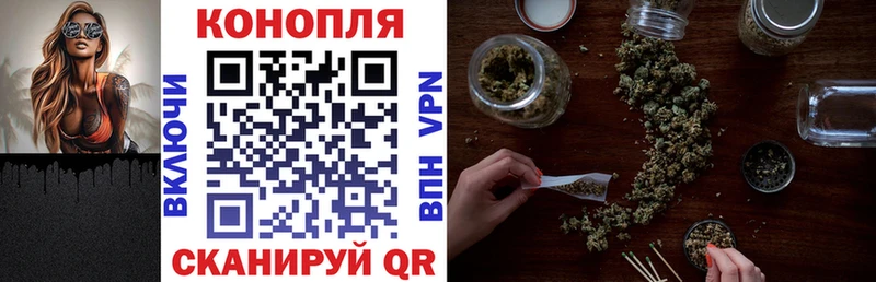 Бошки марихуана сатива Купить закладки Балашиха
